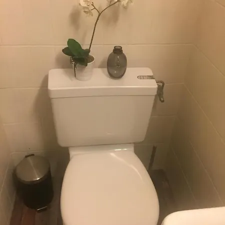 Petit Appart De Charme Eau Chaude Solaire Renovation 2021 Wifi Disponible Belvedere 5 * Сен-Люк