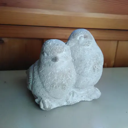 דירה Petit De Charme Eau Chaude Solaire Renovation 2021 Wifi Disponible Belvedere 5 סן-לוק