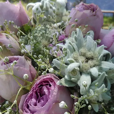 アパート Petit De Charme Eau Chaude Solaire Renovation 2021 Wifi Disponible Belvedere 5