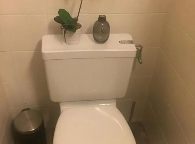 Petit Appart De Charme Eau Chaude Solaire Renovation 2021 Wifi Disponible Belvedere 5 * Сен-Люк