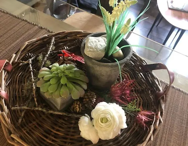 Petit Appart De Charme Eau Chaude Solaire Renovation 2021 Wifi Disponible Belvedere 5 * Сен-Люк
